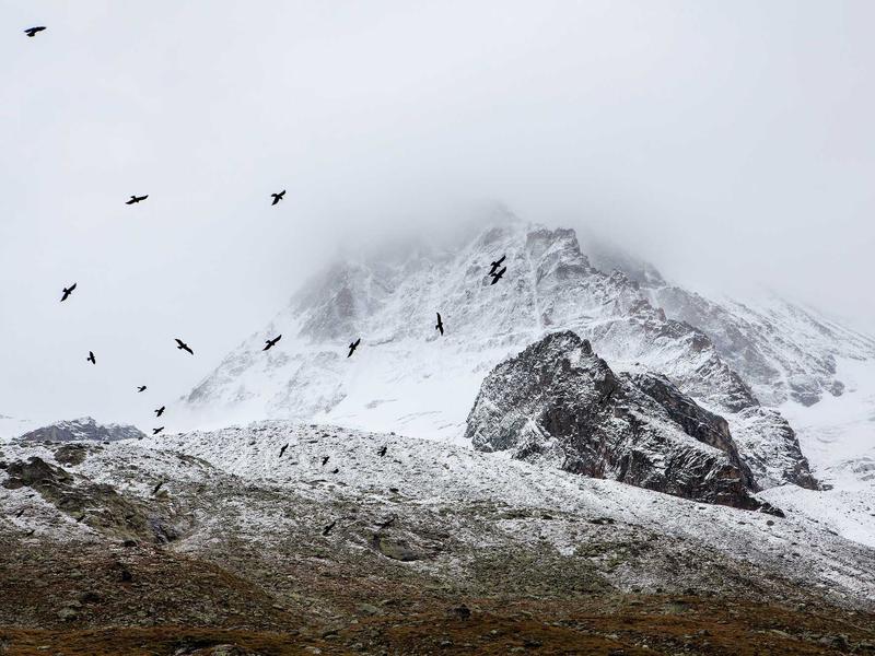 sudoku cognitive game screenshot 1